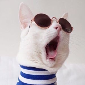 Meet your Posher, Declan